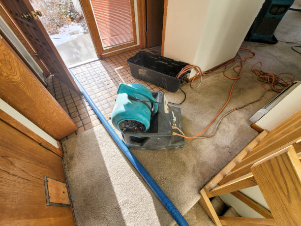 Best Water damage restoration near me  in Mabton, WA